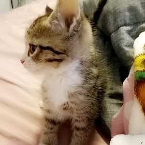 Meet your Posher, Jannah